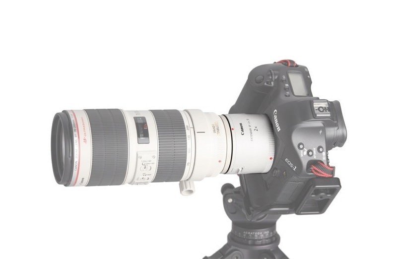 Teleconverter Canon Extender EF 2.0X III – Exemplo