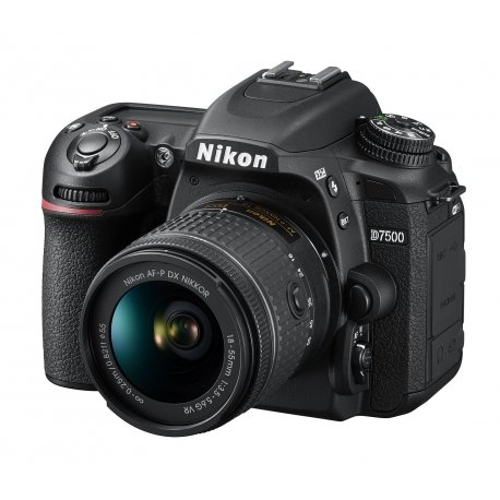 Nikon D7500 + AFP DX 18 55mm f/3.5 5.6G VR